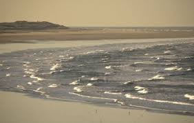 Ripetizioni invernali in spiaggia 