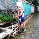 SALCUS FIASP 14 Giugno