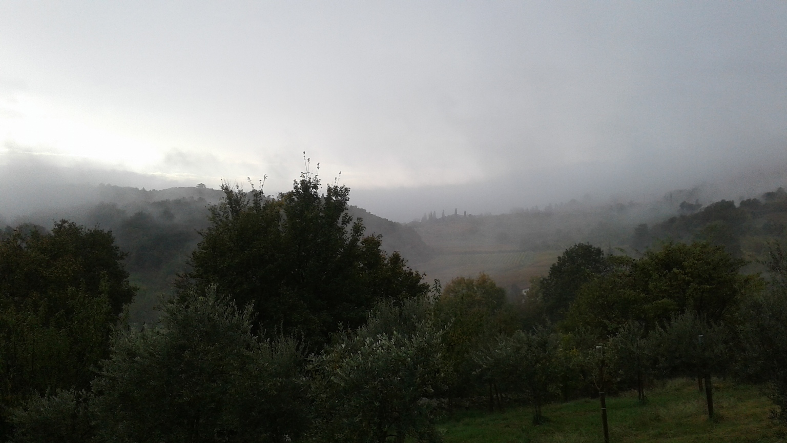 SALCUS a Castegnero