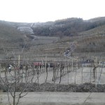 SALCUS a Monteforte e Bevilacqua