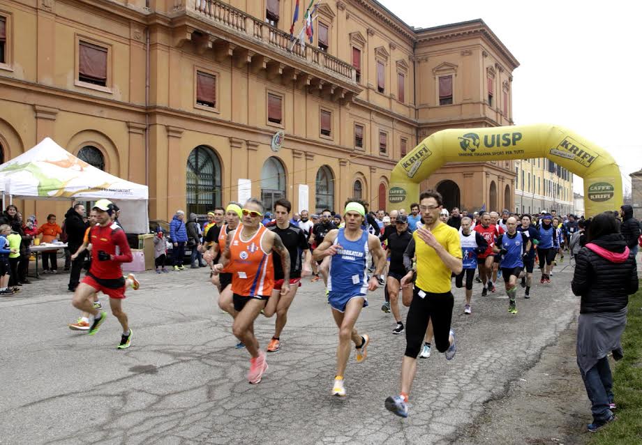 Salcus numerosa a Copparo