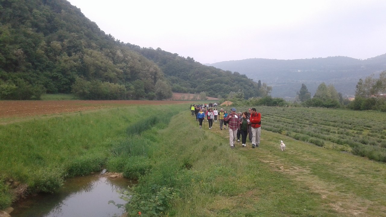 Week end Salcus