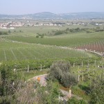 La domenica Salcus Fiasp…!!!
