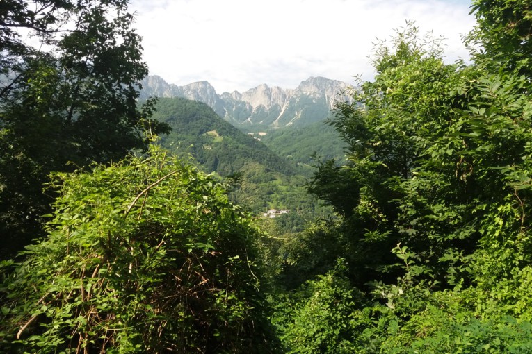 Week end Salcus