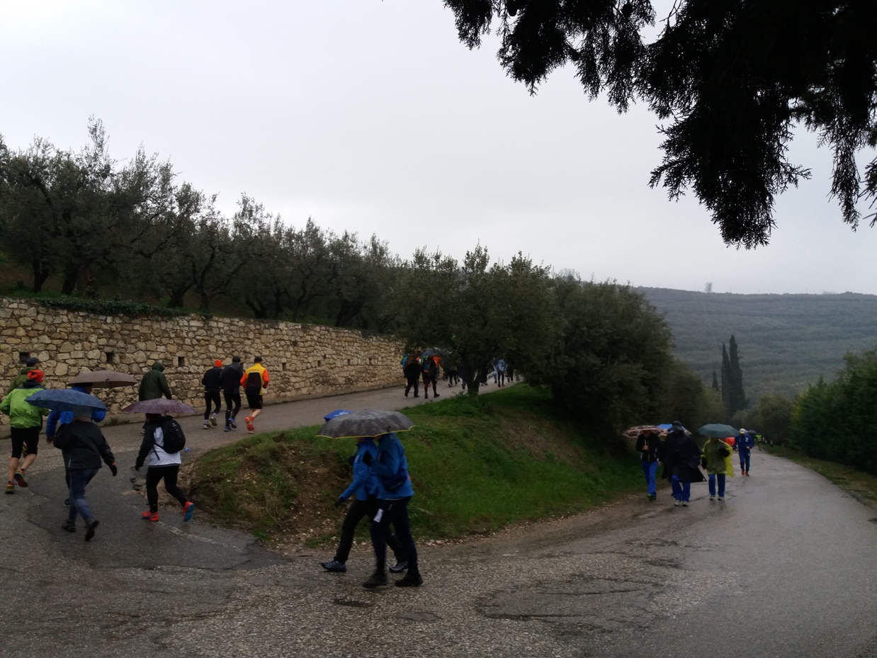 Week end Salcus