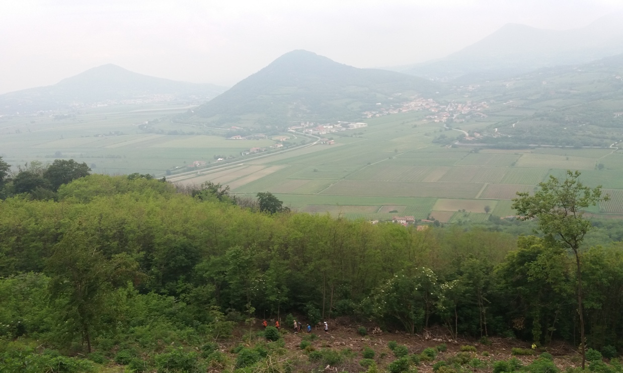 Salcus dalla 