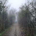 SALCUS sui percorsi della “Marcia di Natale”